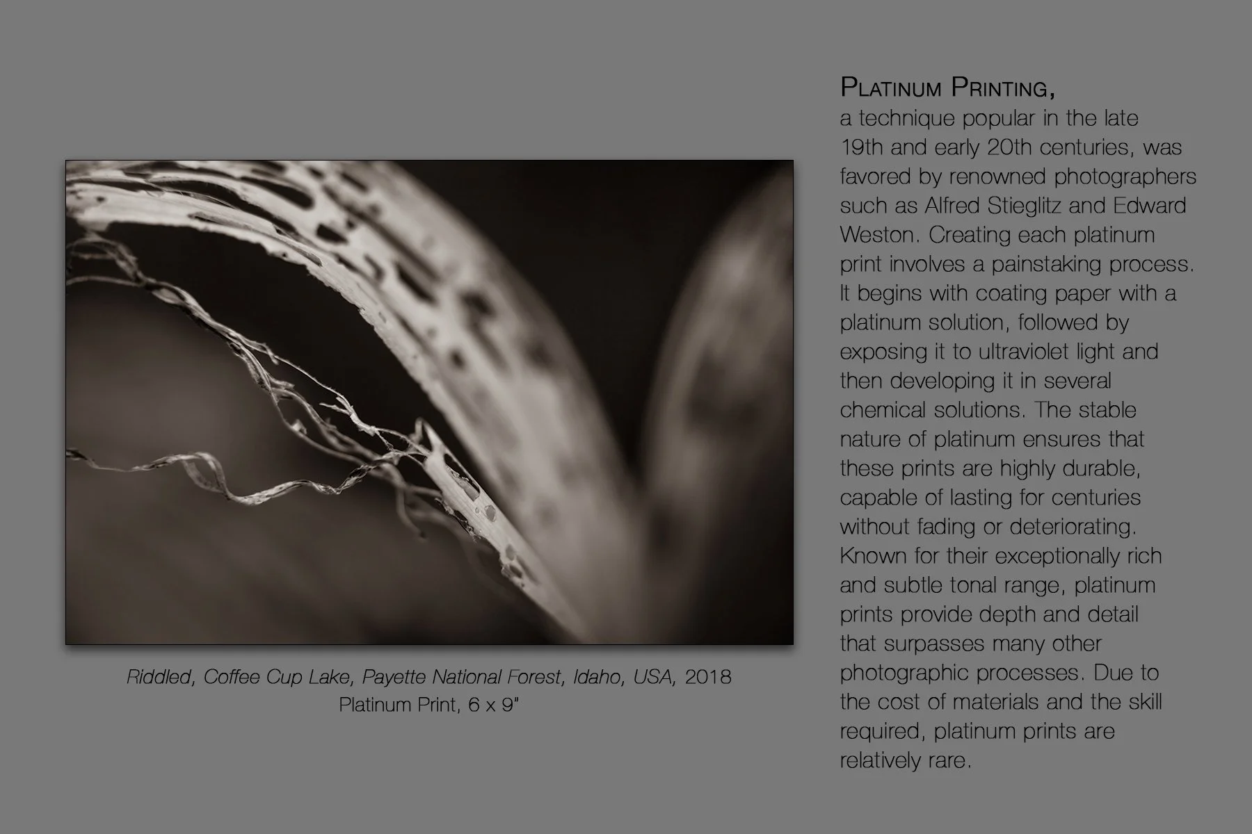 donahue_platinum.jpg
