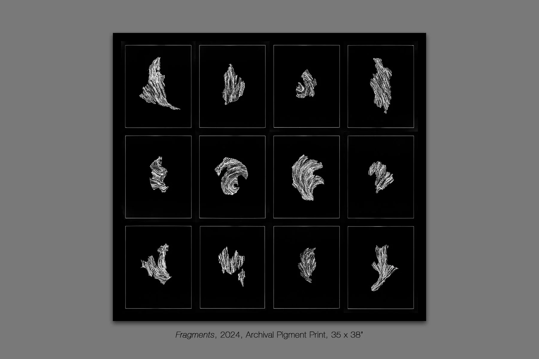 donahue_fragments_vespidae.jpg