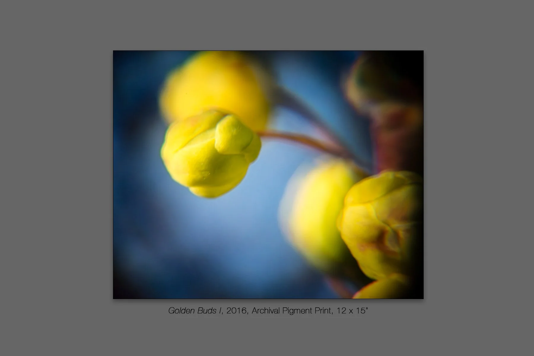 donahue_golden_buds_i.jpg