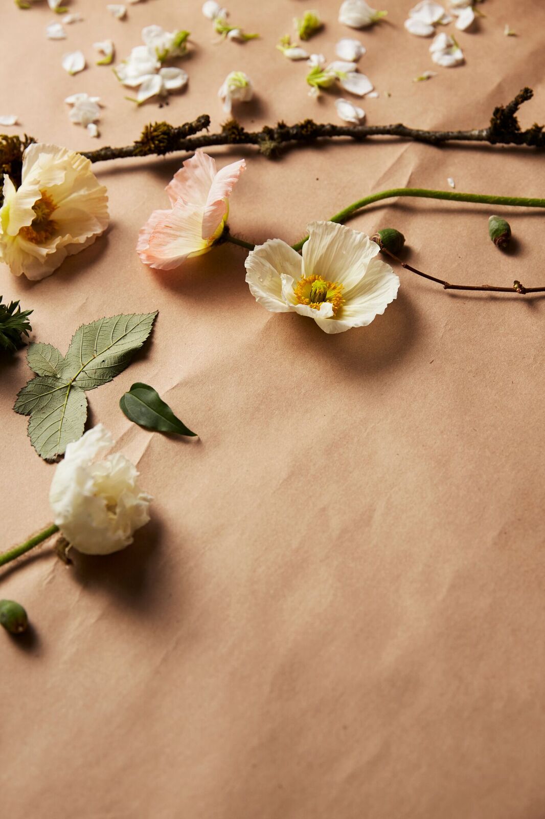 Photos by Charity Burggraaf ~