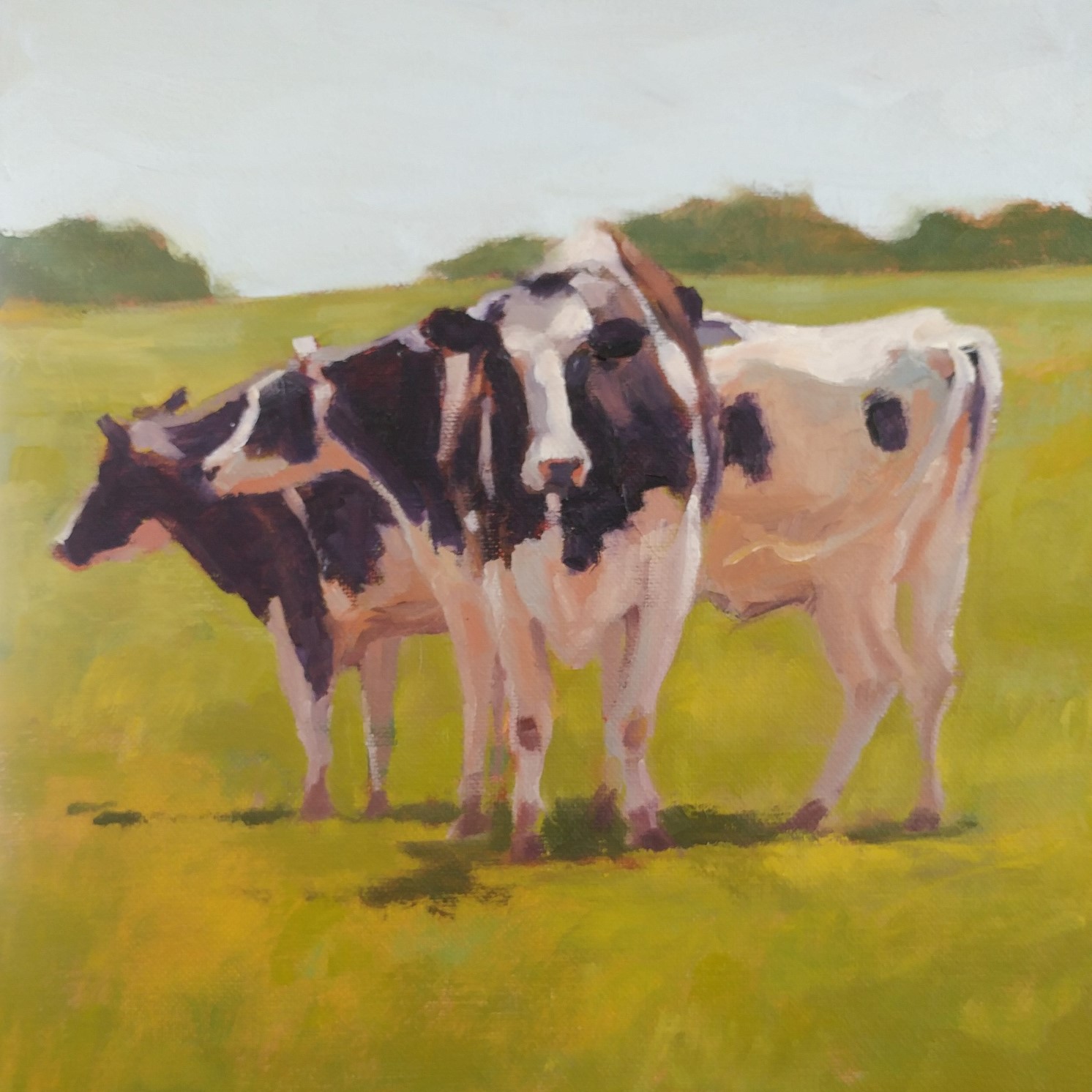 A Cluster of Cows.jpg
