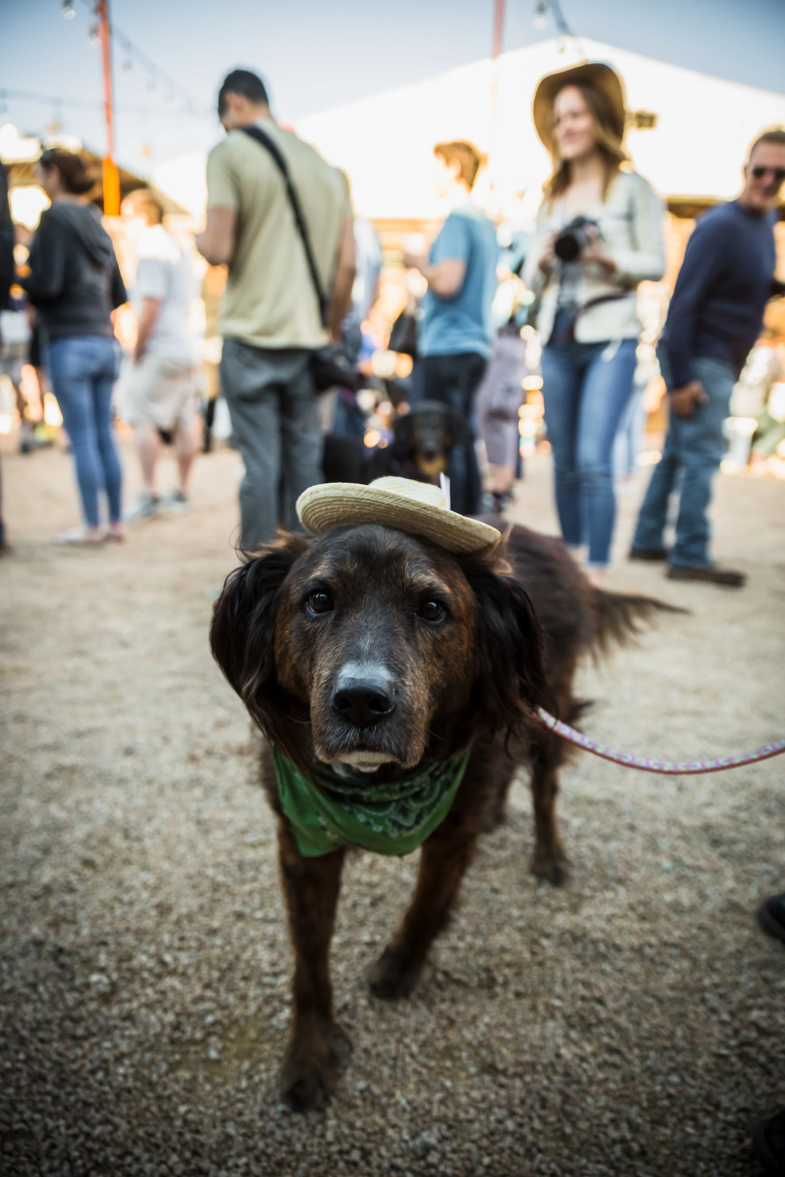 2018-01-28-SOLARGOODPARTY-Chris Lammert-13097.JPG