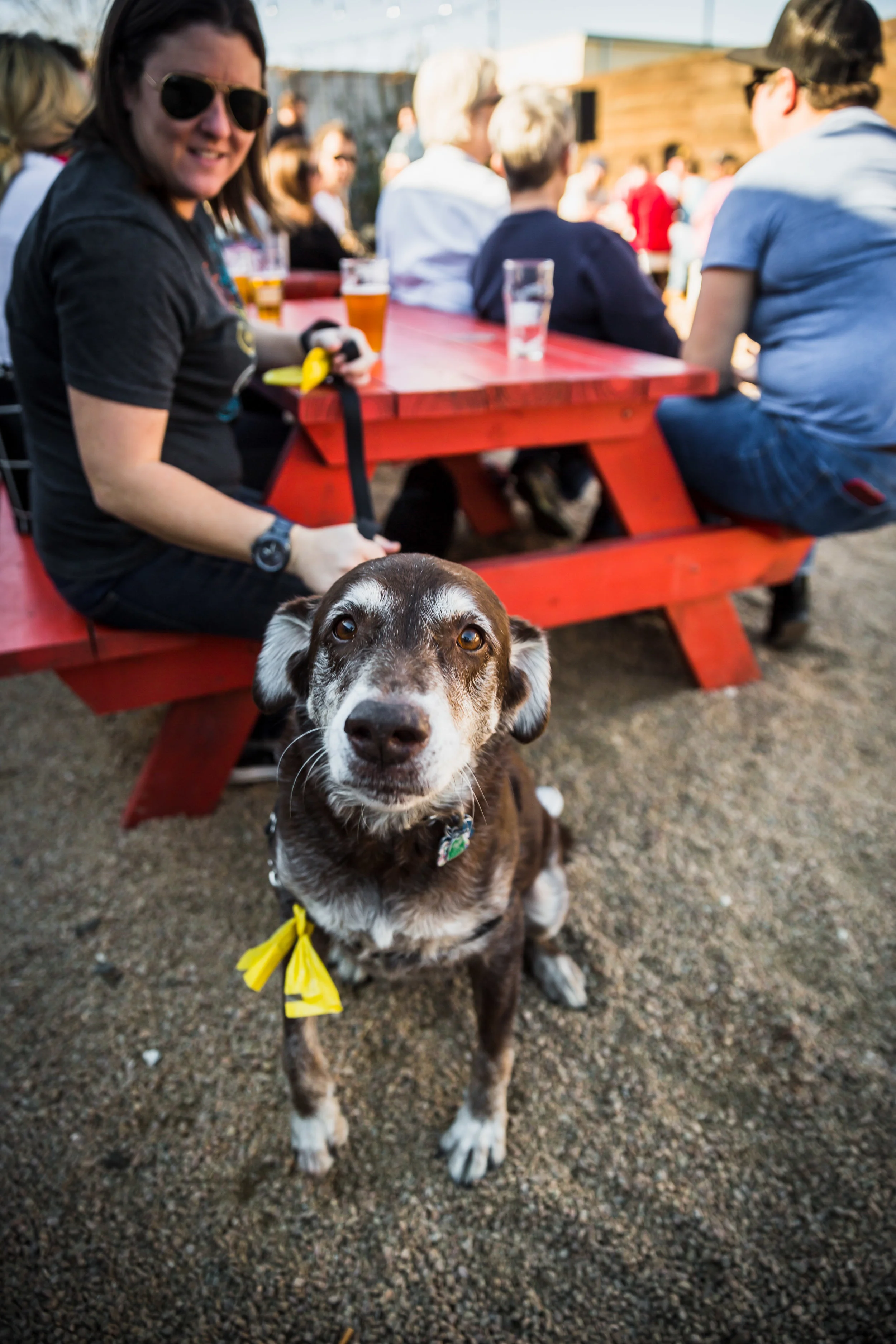 2018-01-28-SOLARGOODPARTY-Chris Lammert-12944.JPG