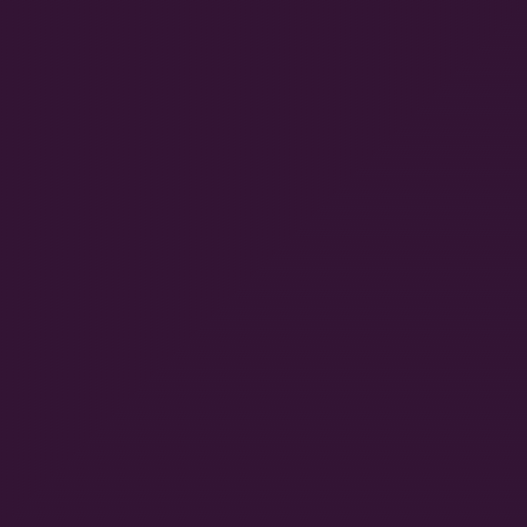 hoops-brievalencia.gif