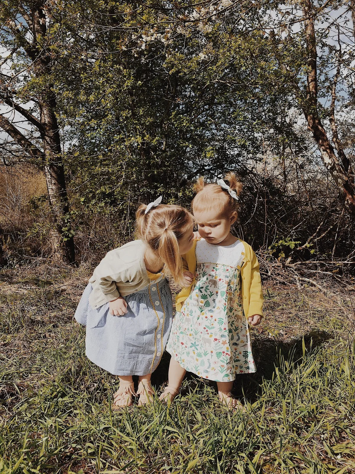 vsco-photo-1-1.jpg