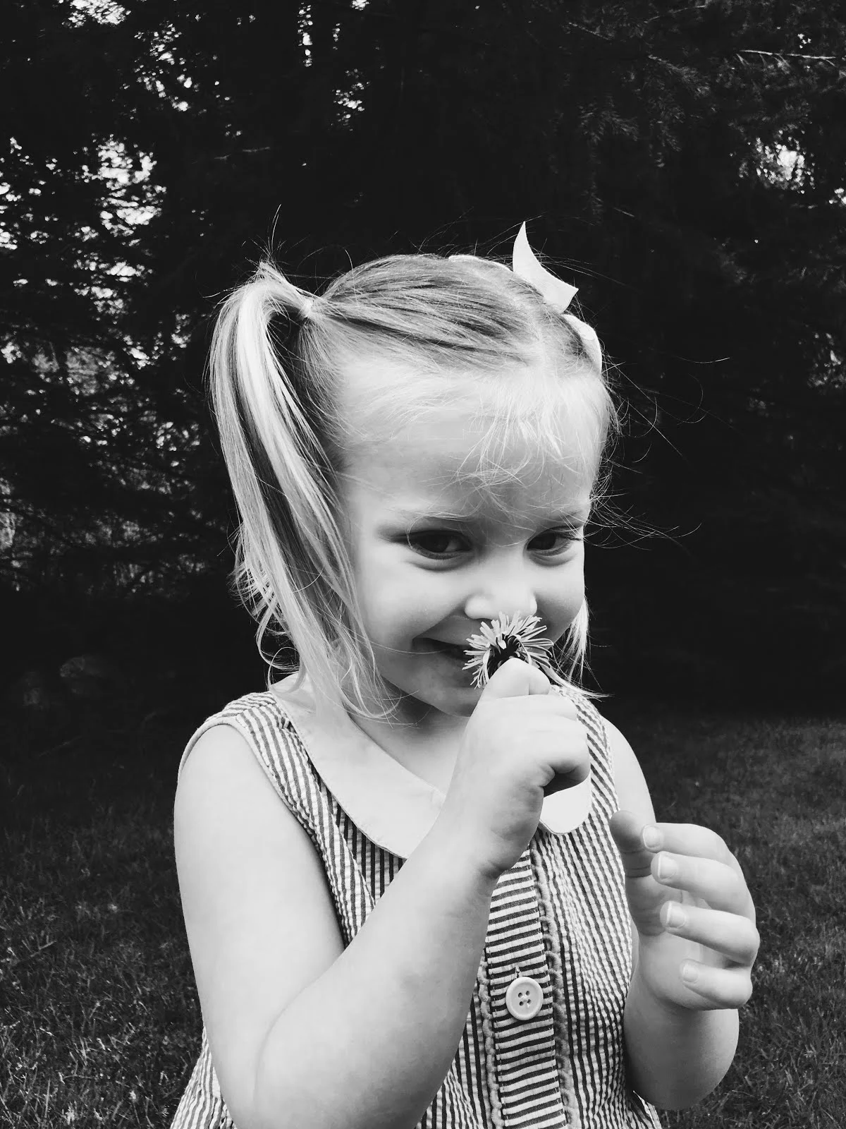 vsco-photo-2-1.jpg