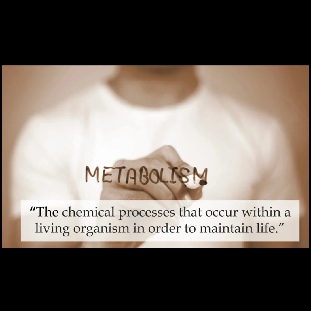 My Nutrition Journey