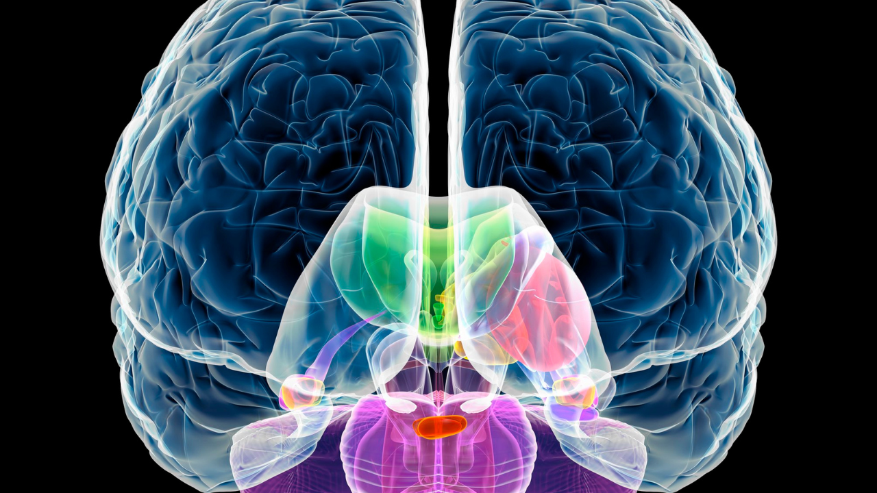 One Tiny Tweak To The Nervous System&nbsp;
