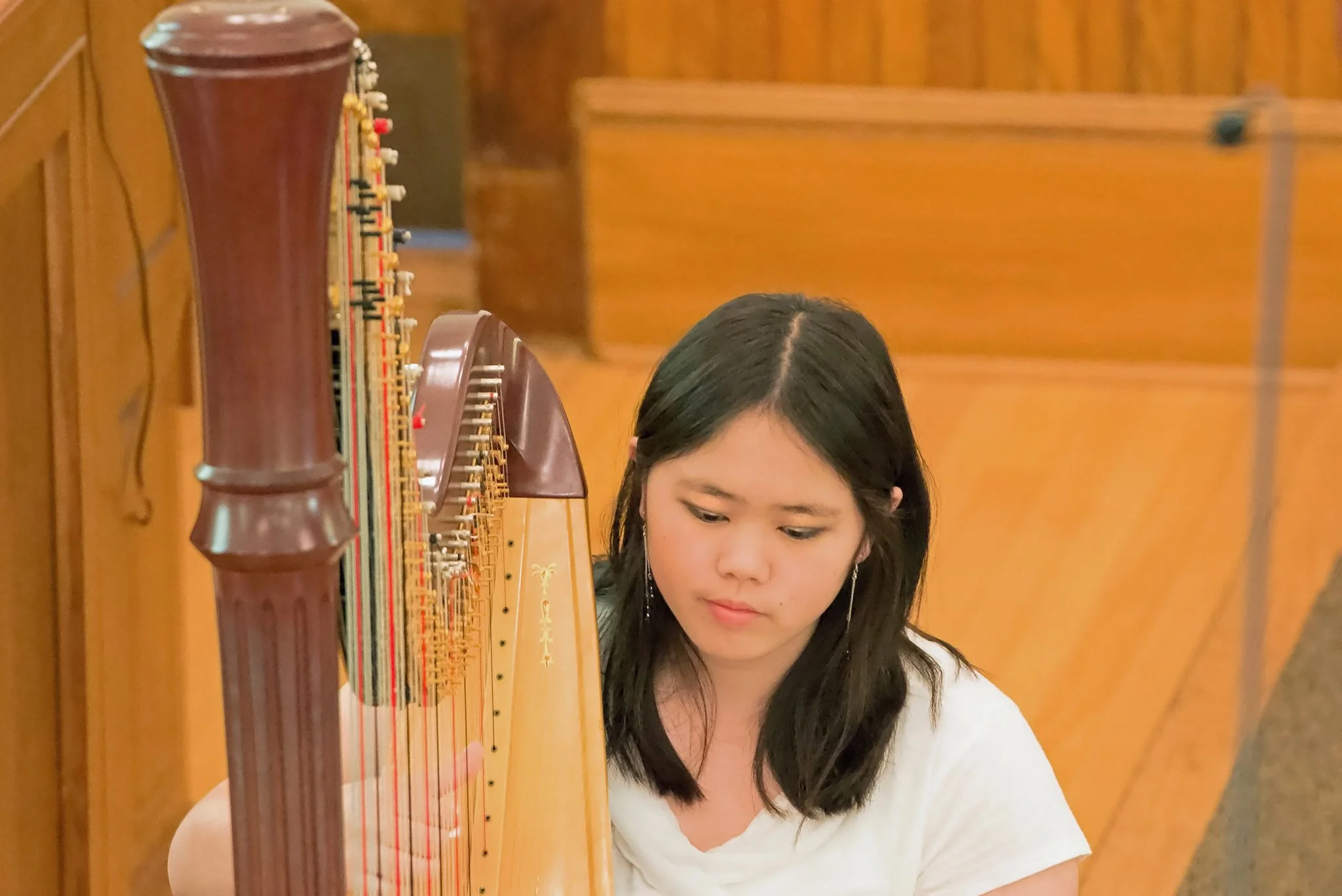 Pedal Harp - Church - 2016 .jpg