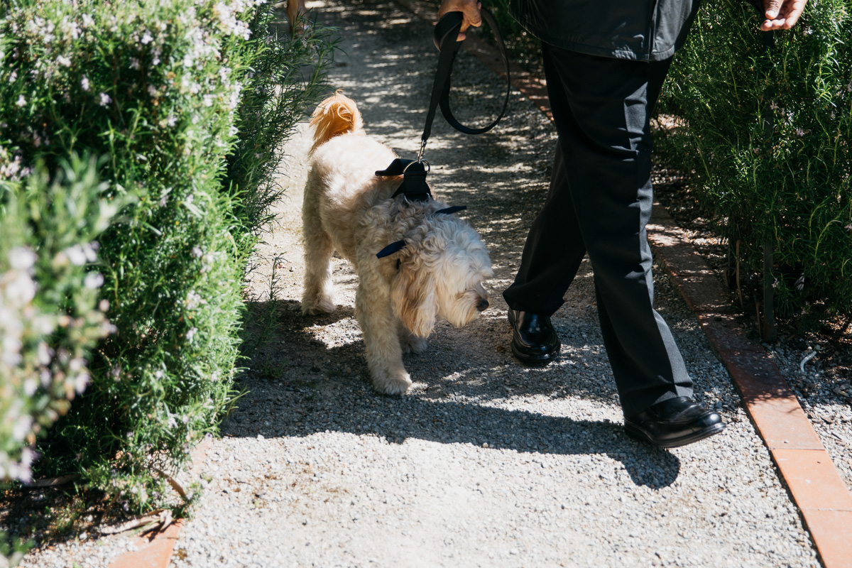 2017-Weddings-Teghan-Cameron-246.jpg