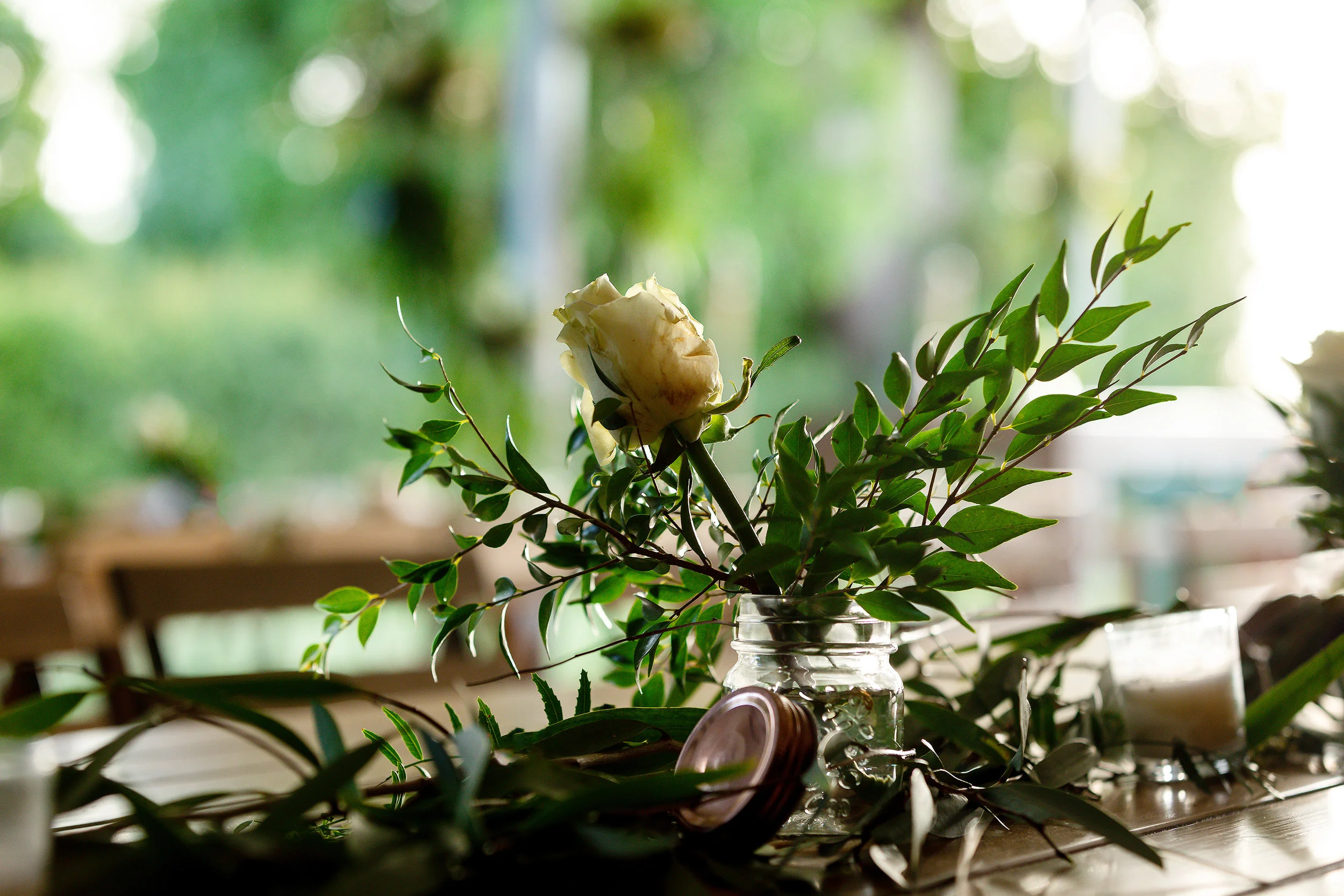 Stories — leah mclean photography