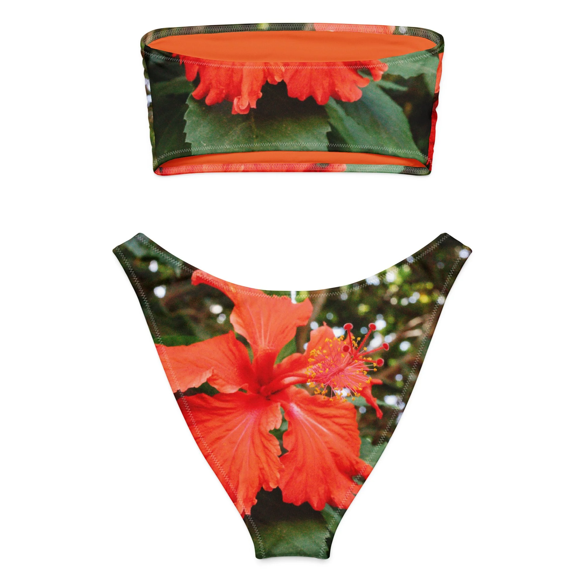 all-over-print-recycled-bandeau-bikini-white-back-69df1634ce5ff.jpg