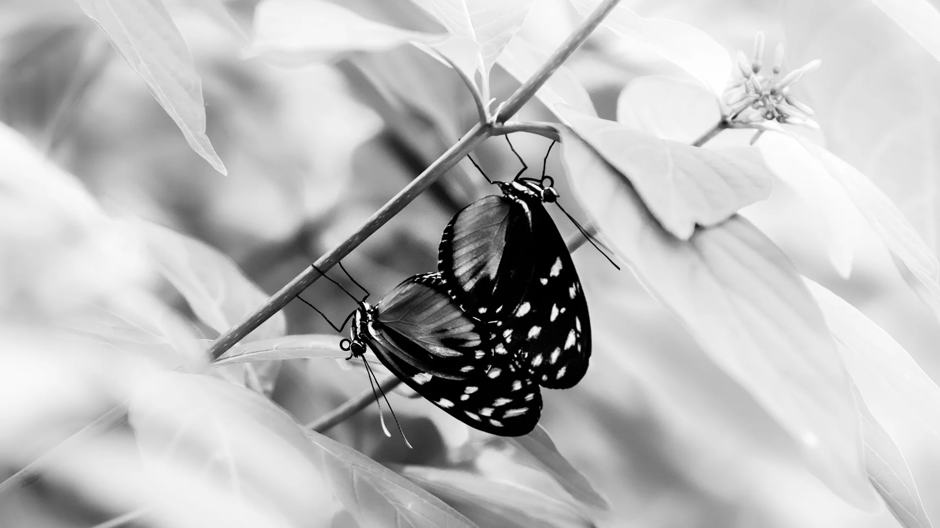 insects-1.JPG