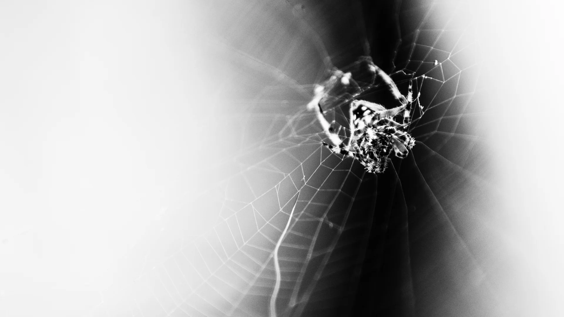 insects-4.JPG