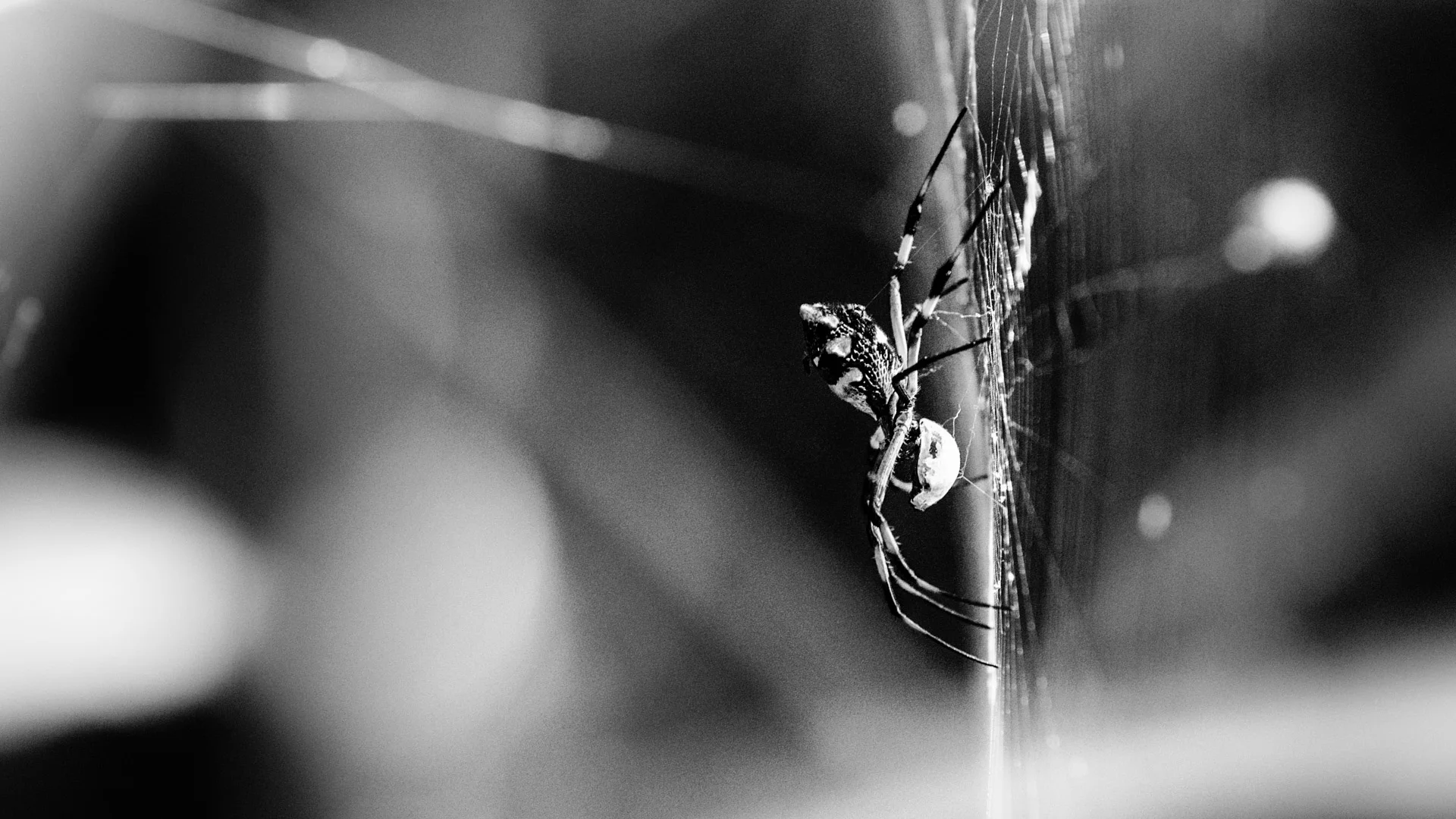 insects-6.JPG