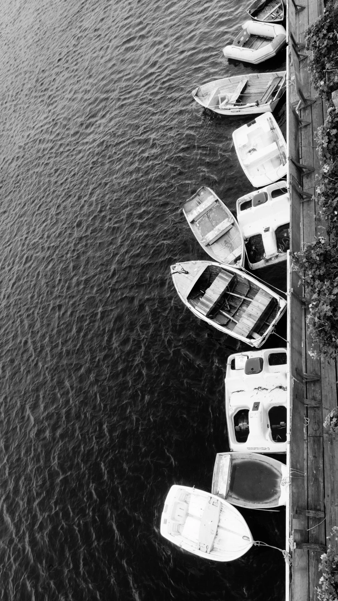 boats-7.JPG