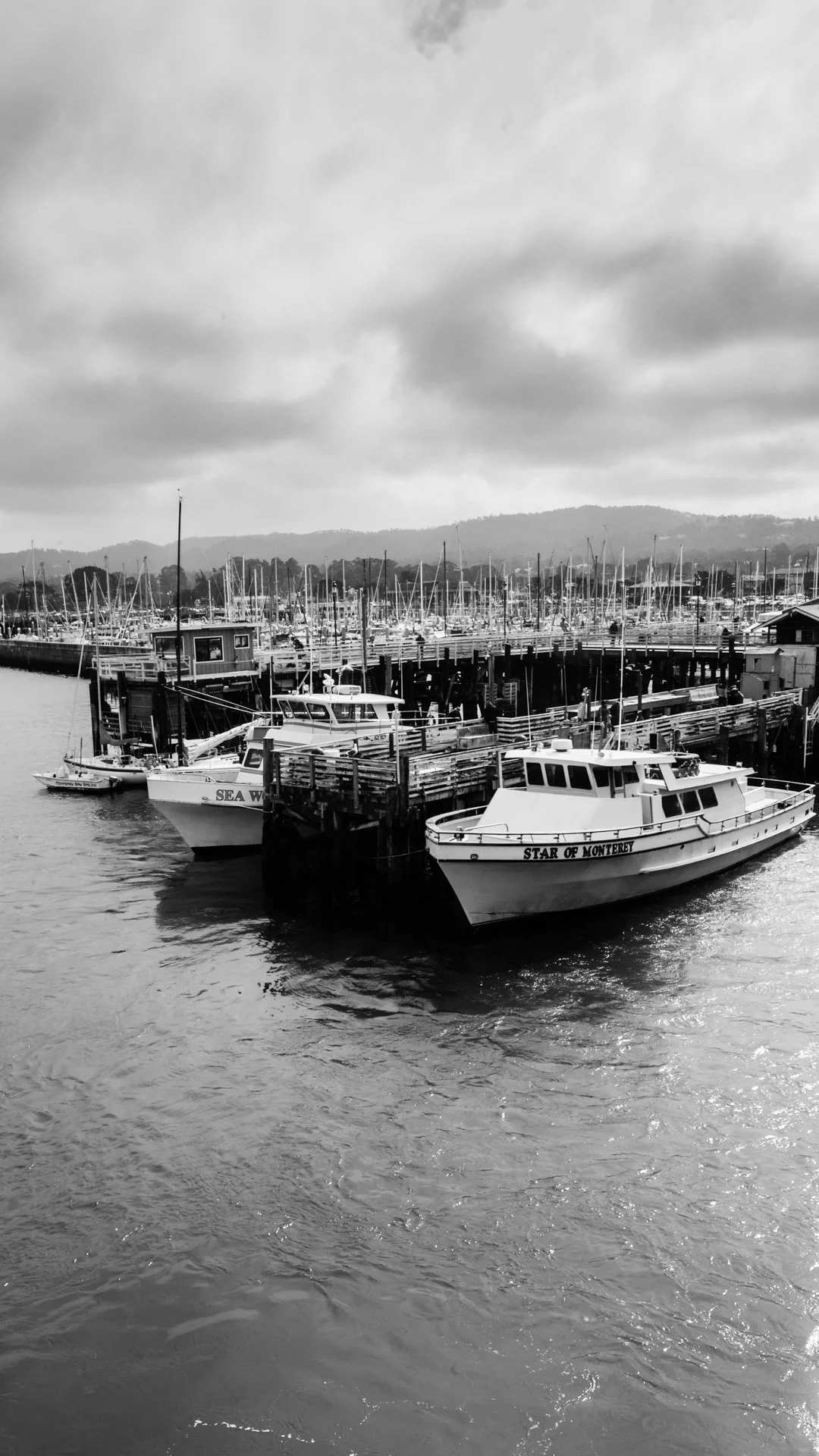 boats-9.JPG