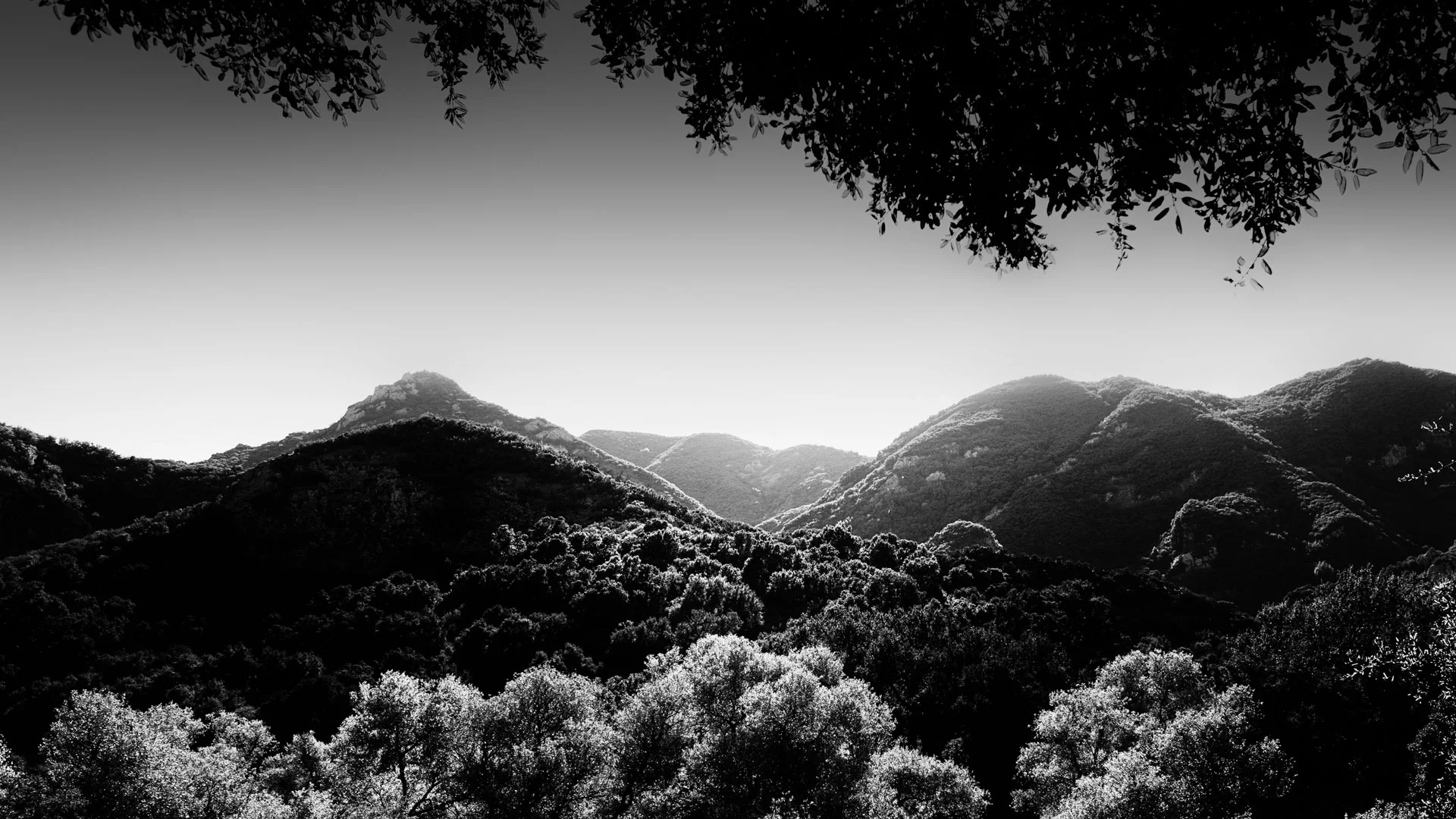 mountains-3.JPG