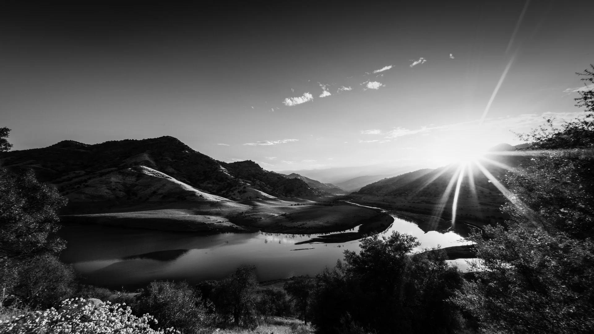 fields-8.JPG