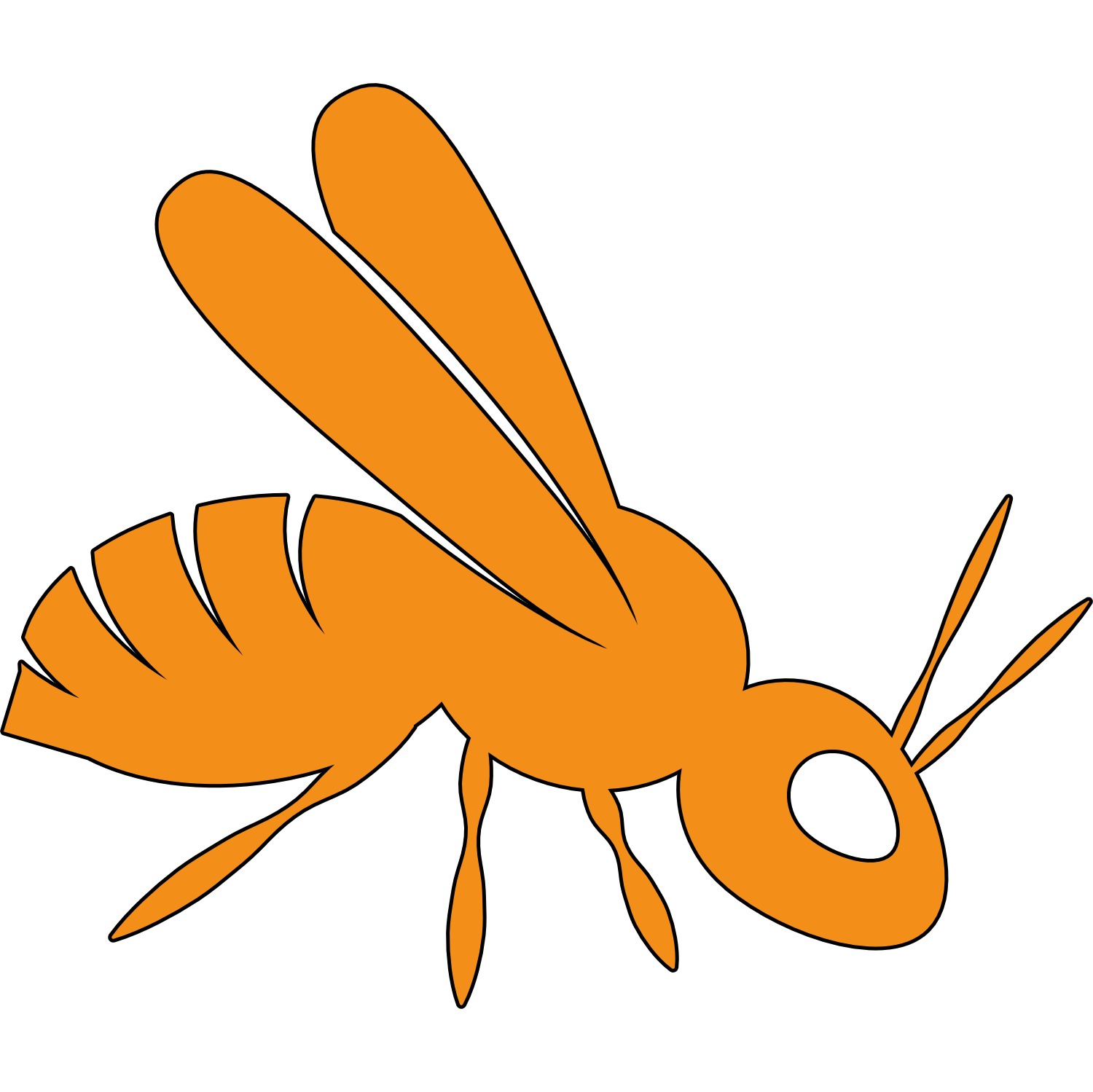Wasp