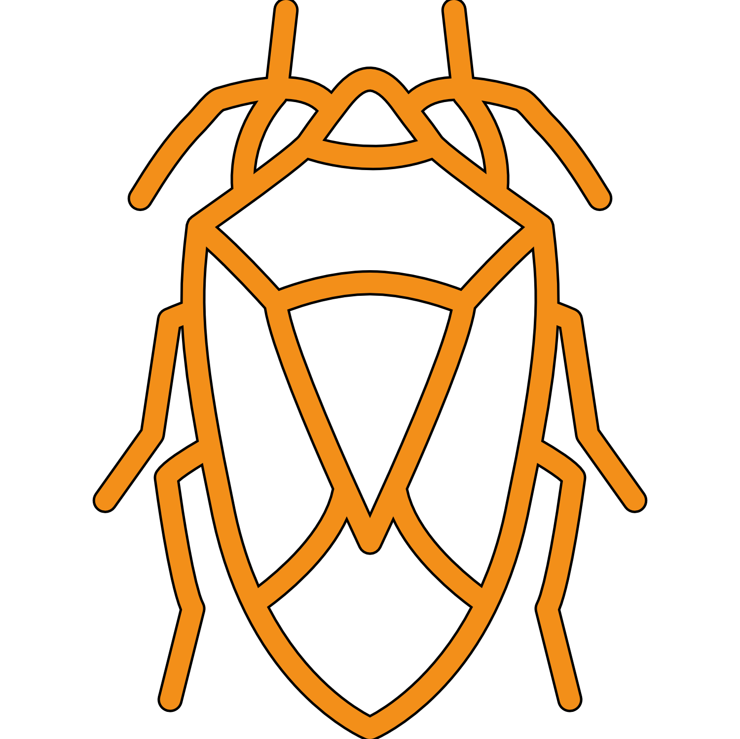 Stink Bug