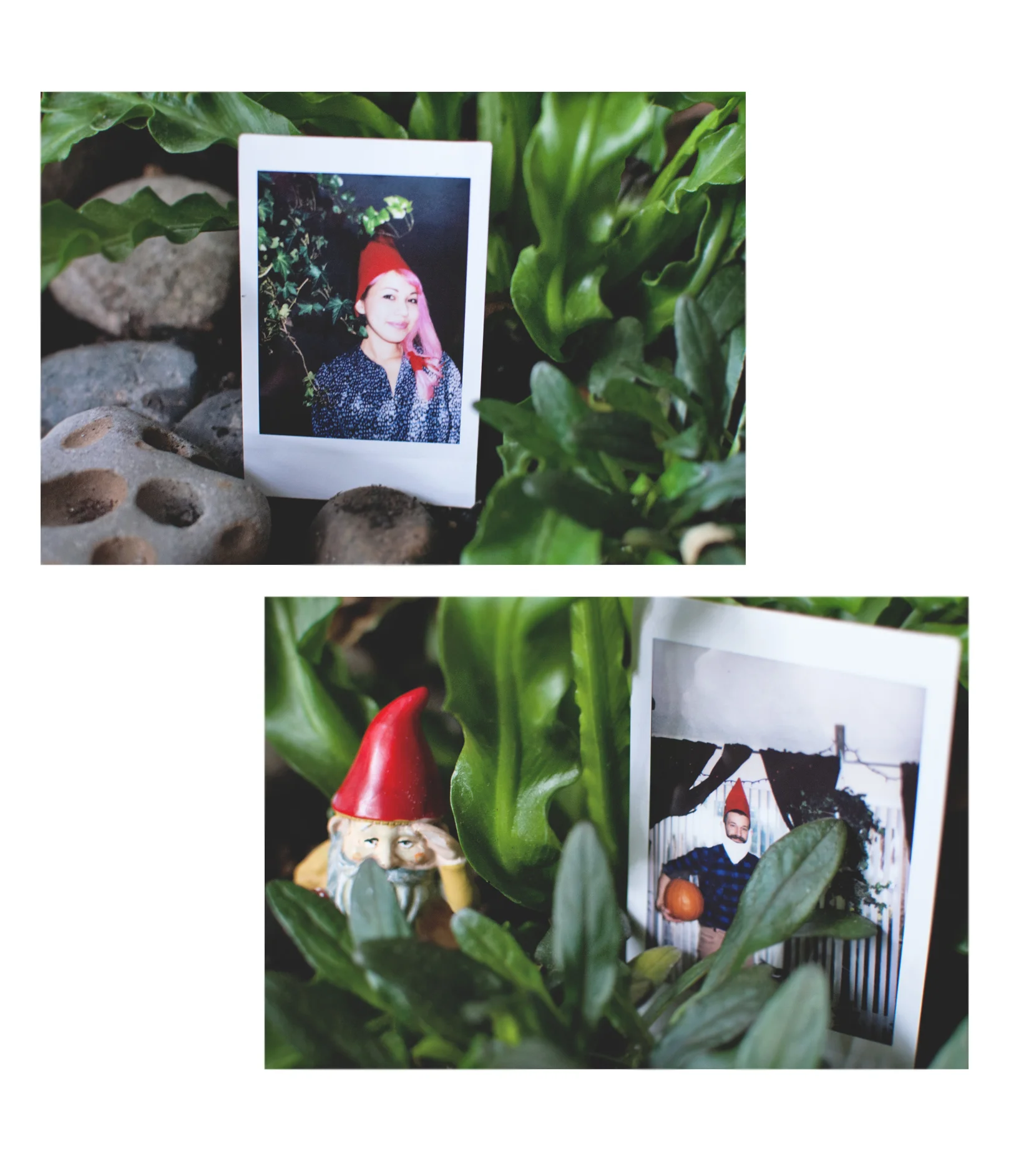 gnomes2.jpg