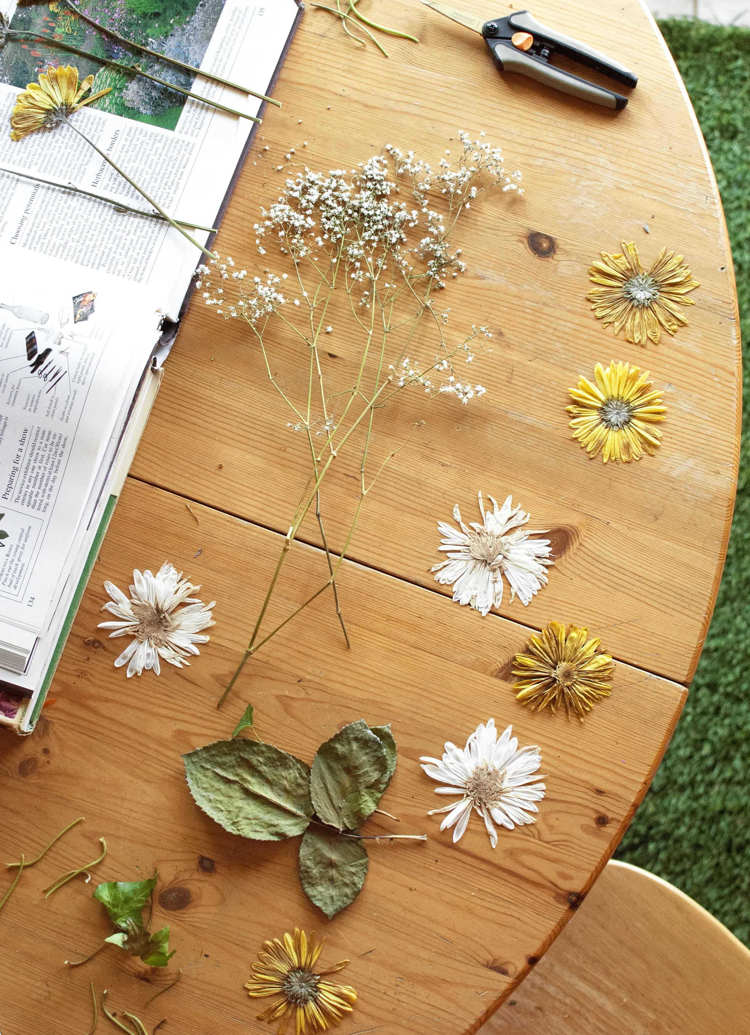 flowerpressings.jpg