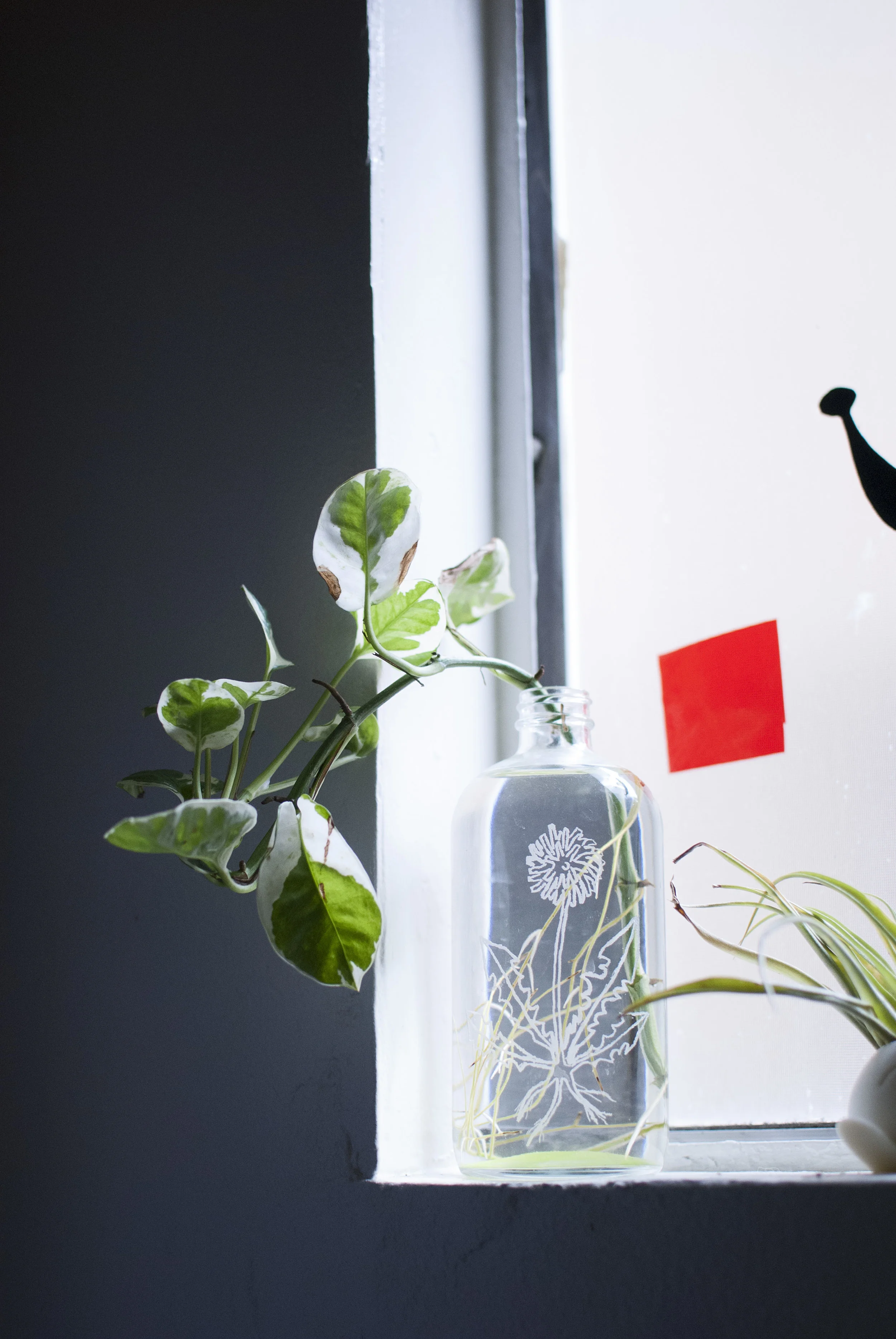 A marble queen in a bottle that I engraved with a dandelion design.