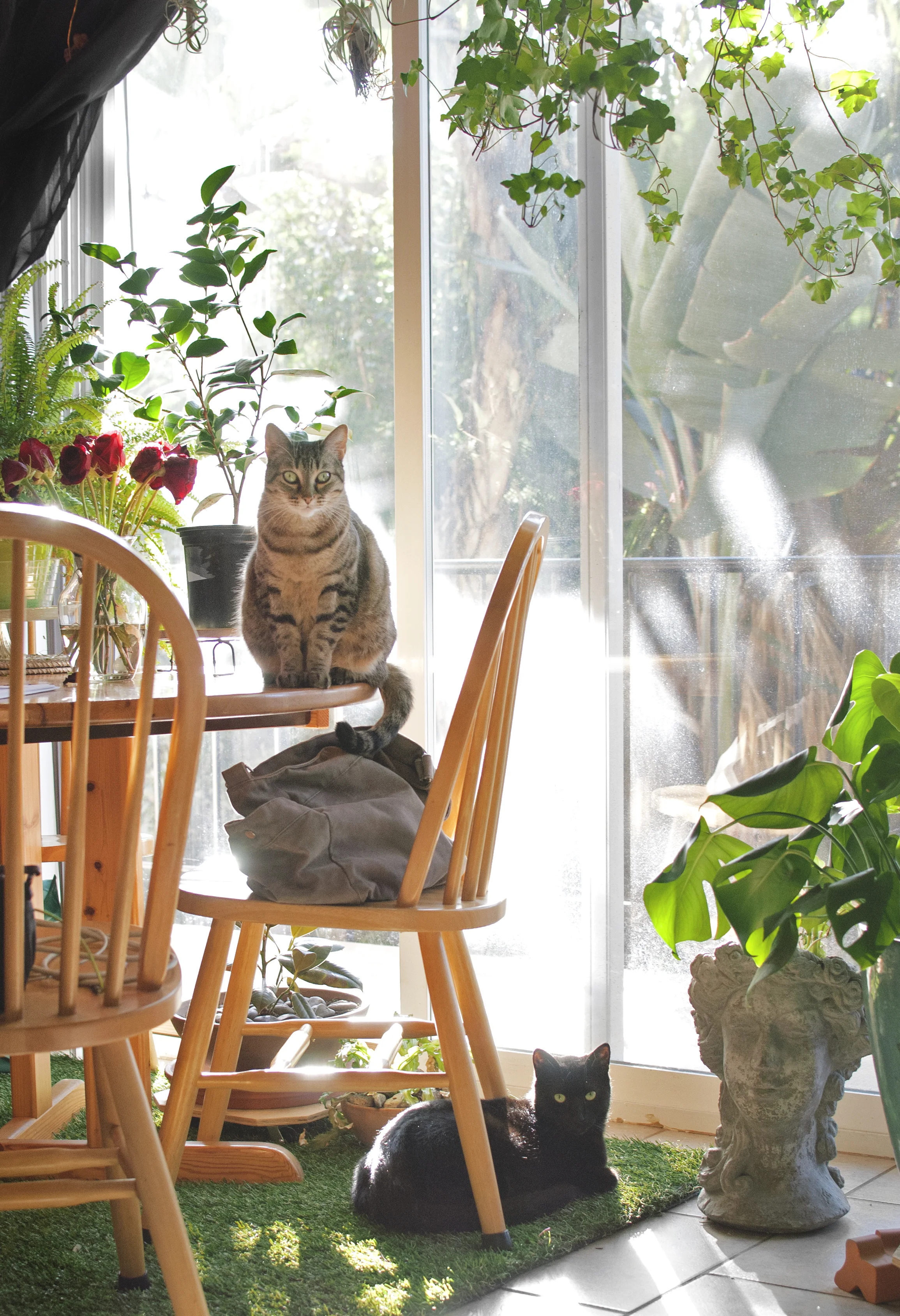 We'll all miss the way the sun streams through this window.