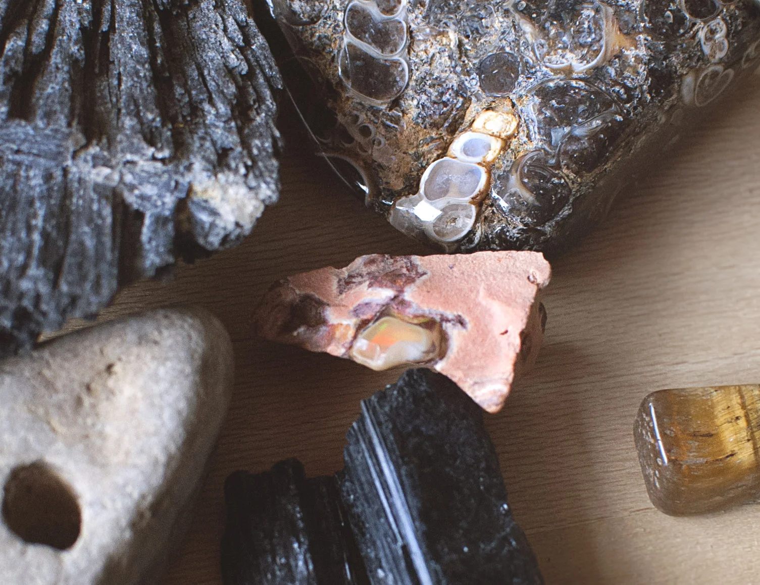 Close-up of rocks and minerals.