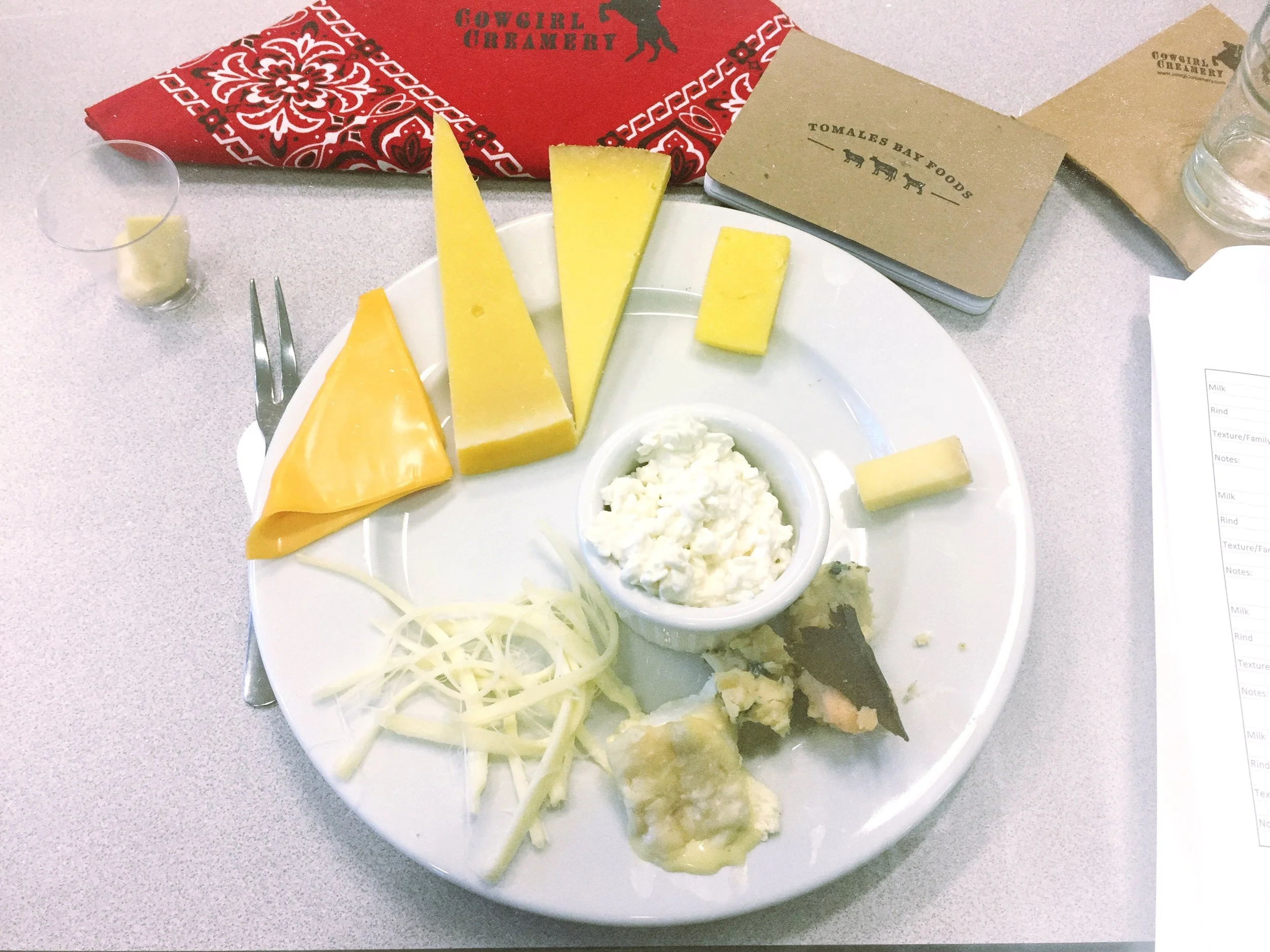 Cheese classification tasting plate. Yes, that is a Kraft single.