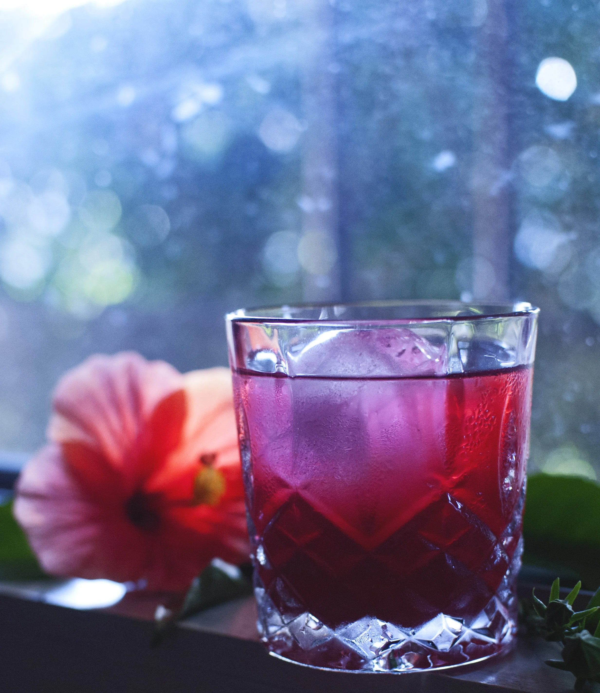 hibiscuselderflower4.jpg