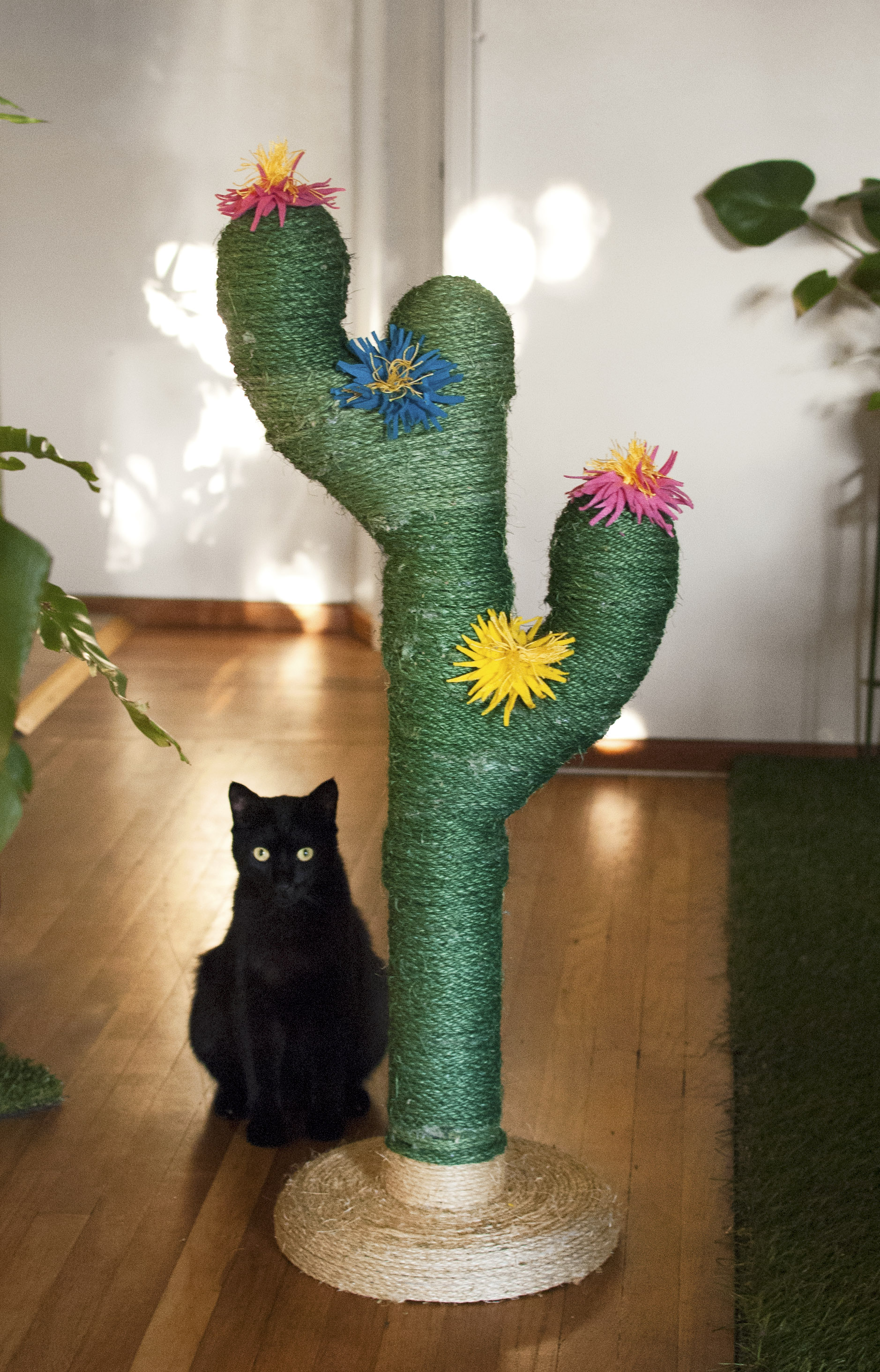 cat tree cactus