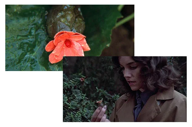 Invasion of the Bodysnatchers (1978)