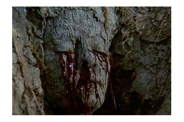 The Guardian (1990)