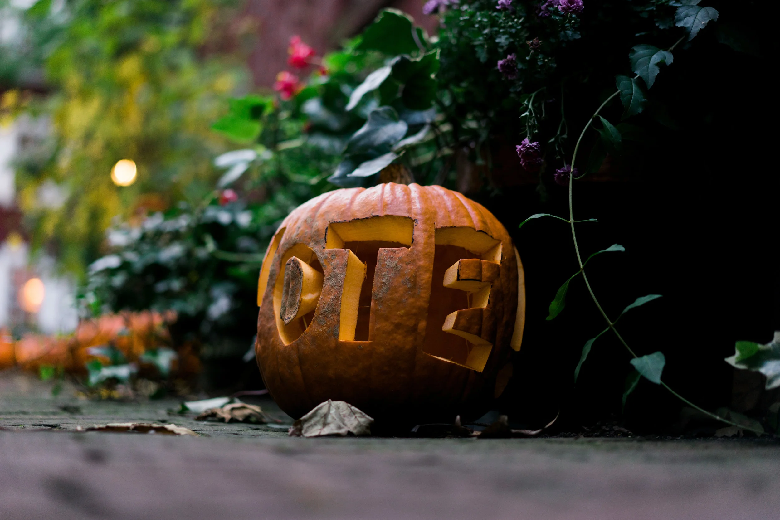 Halloween in The West Village — Rosie Manock