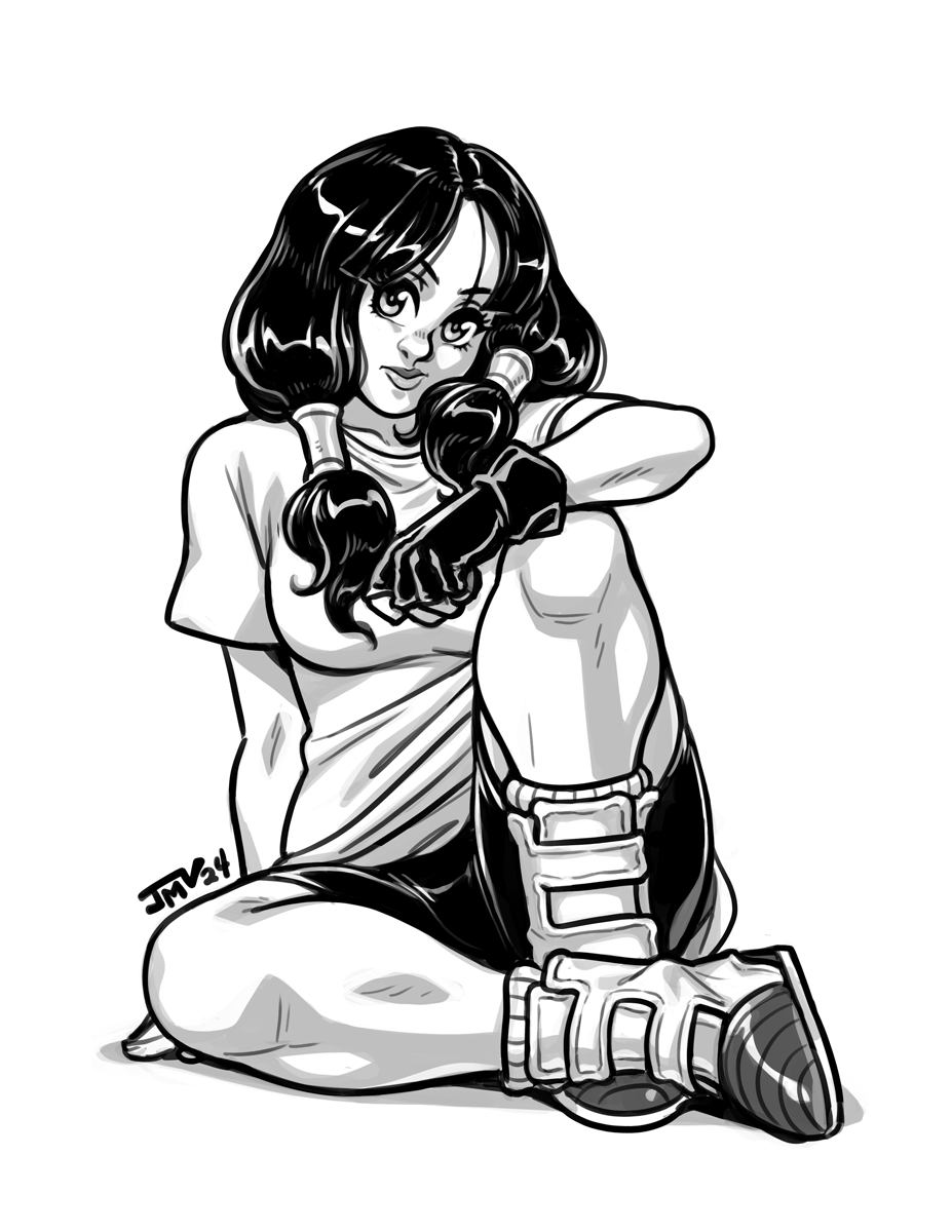 VIDEL.png