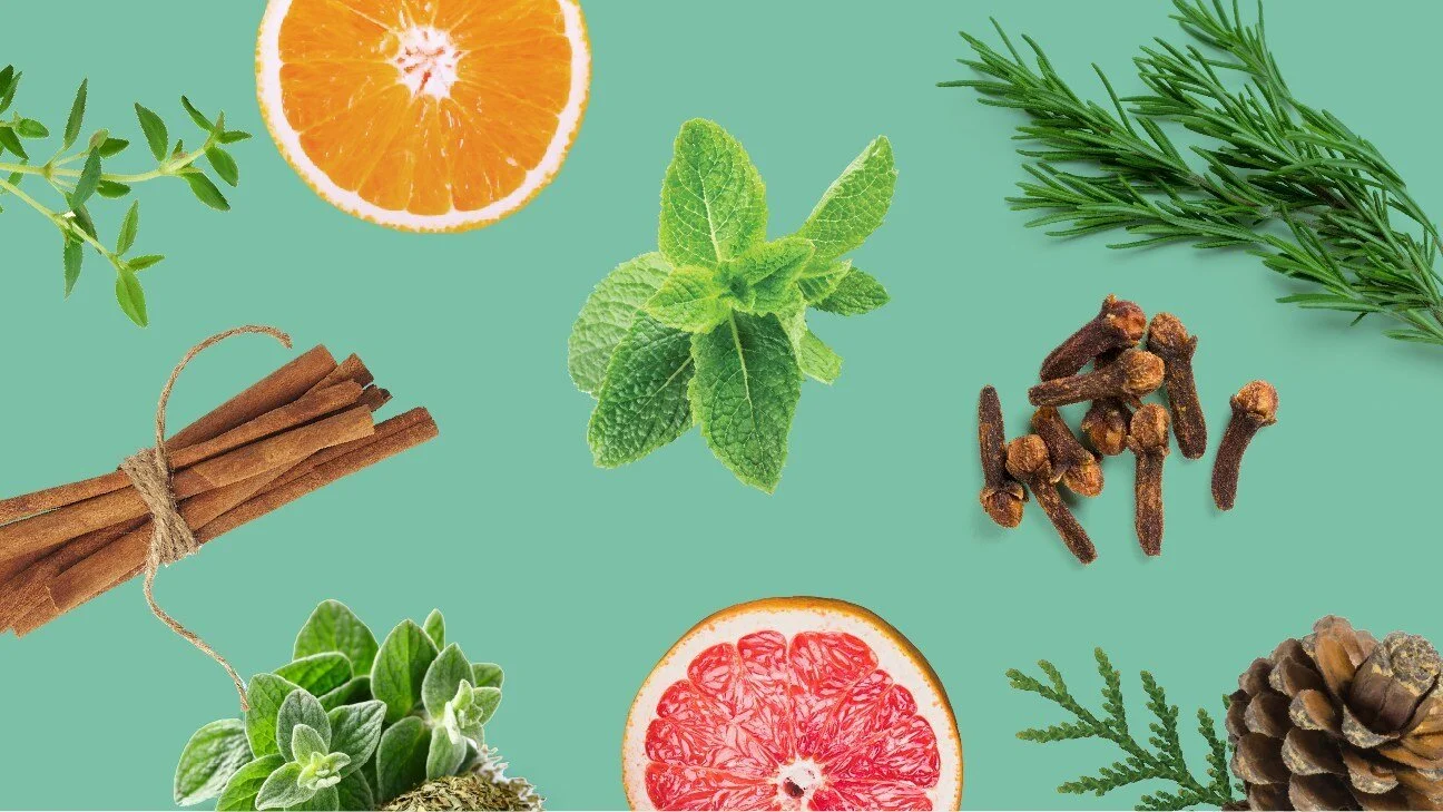 Palliative Care &amp; Essential Oil Choices