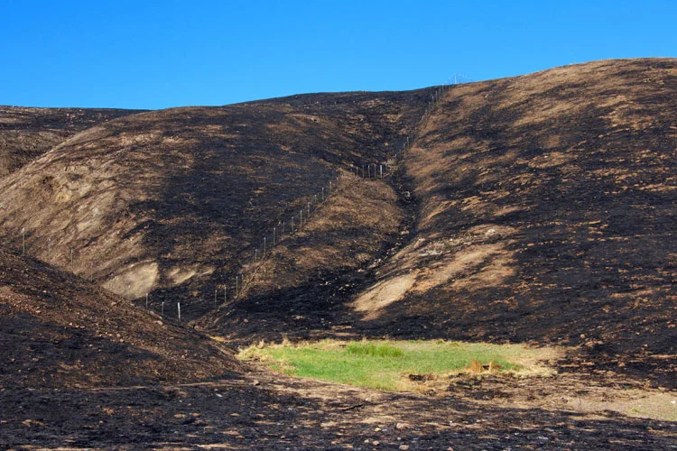 NorthBayFire.jpg