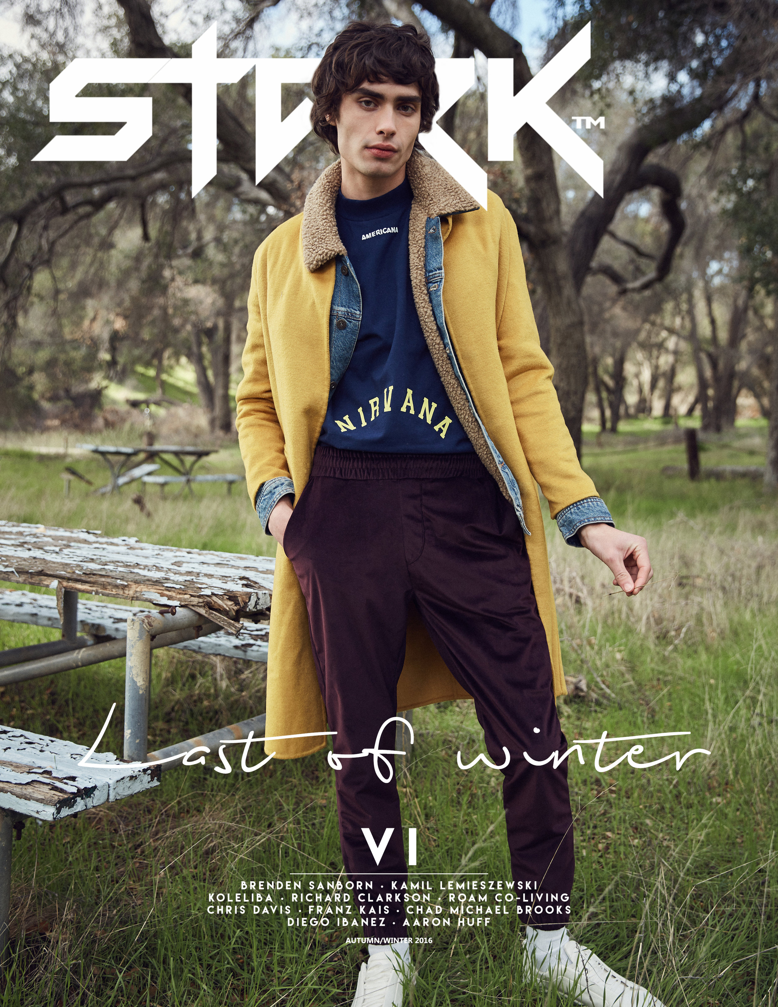 Cover Design - VIb.jpg