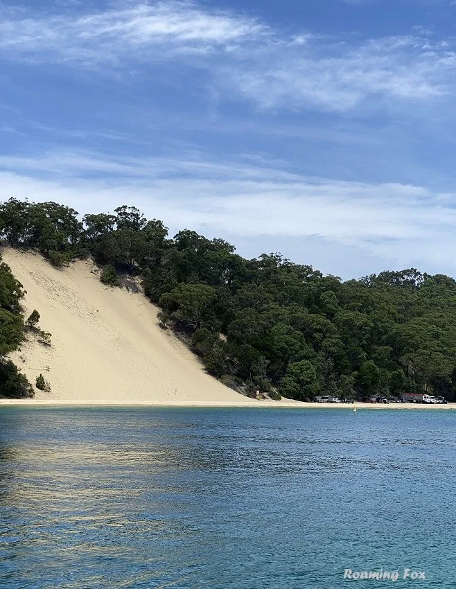 Brisbane Day Trip – Snorkel Tangalooma wrecks — Roaming Fox | Travel ...