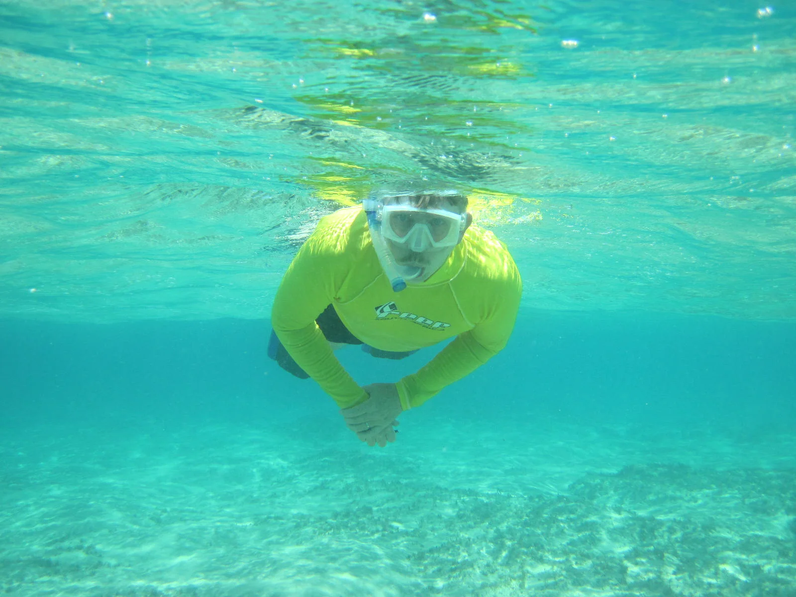 What does the Fox say about Snorkeling