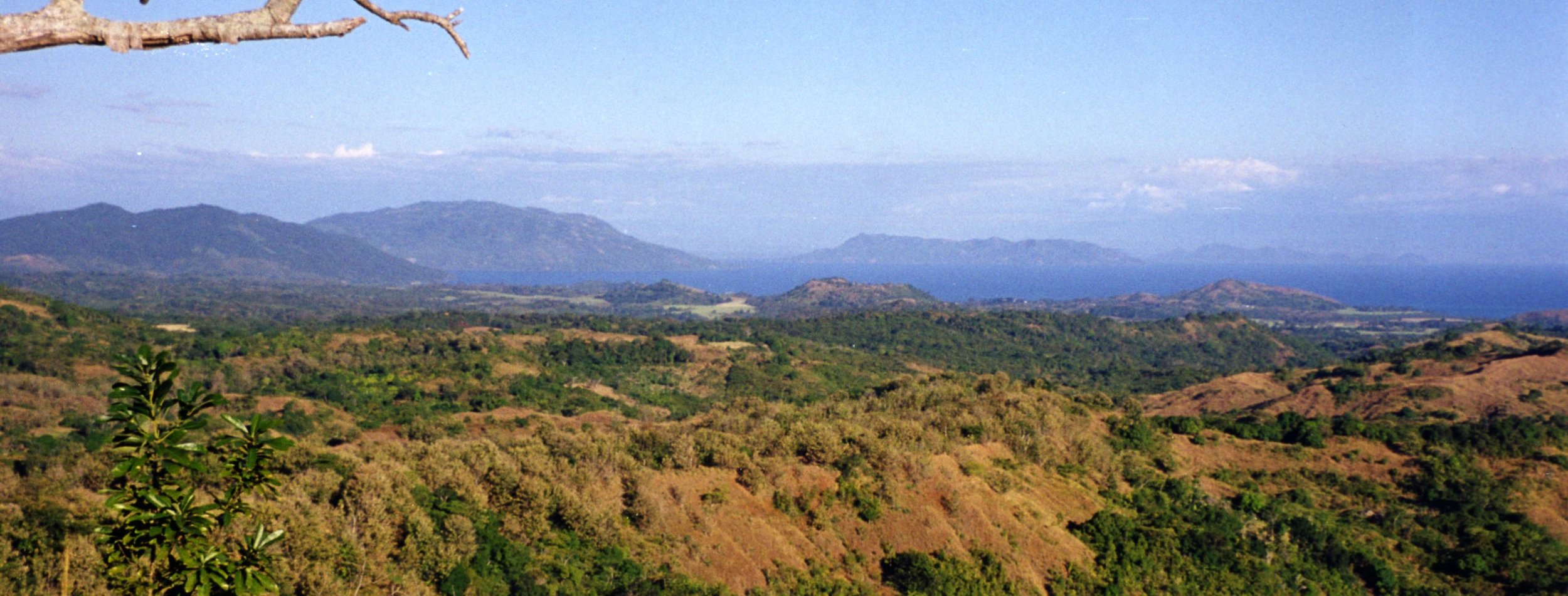 View towards mainland