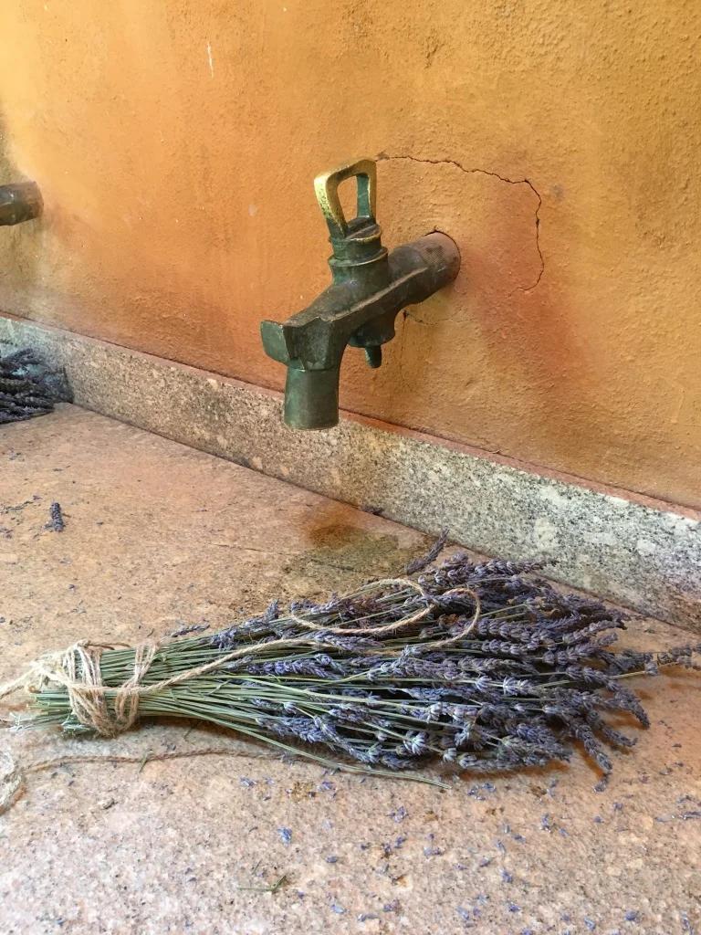 52 Photos that will make you jealous (and surprise you)