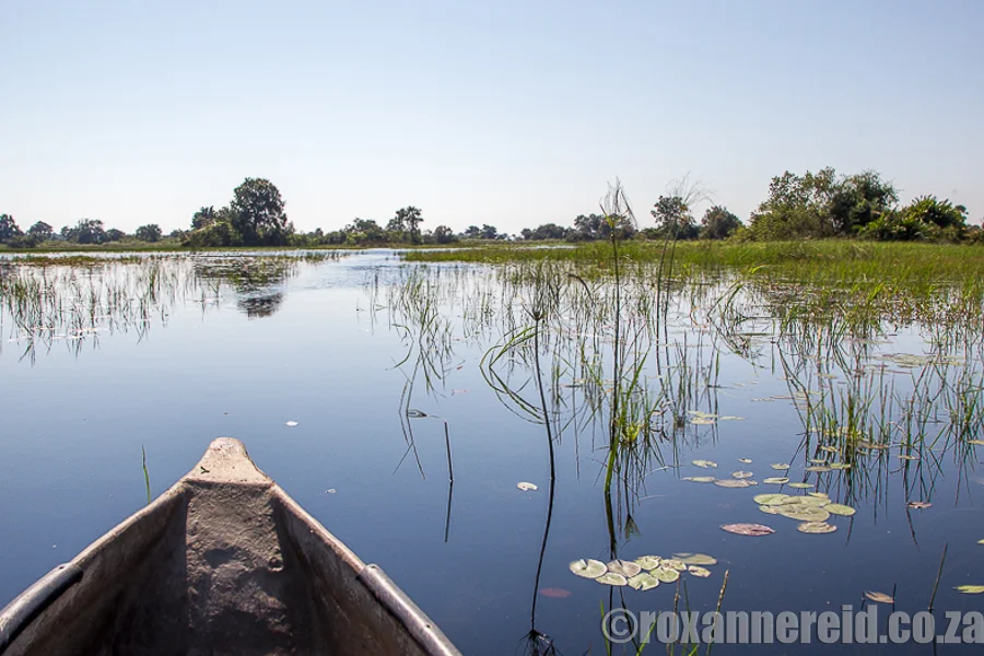 Mokoro trip from Xigera Camp in the Okavango Delta, Botswana