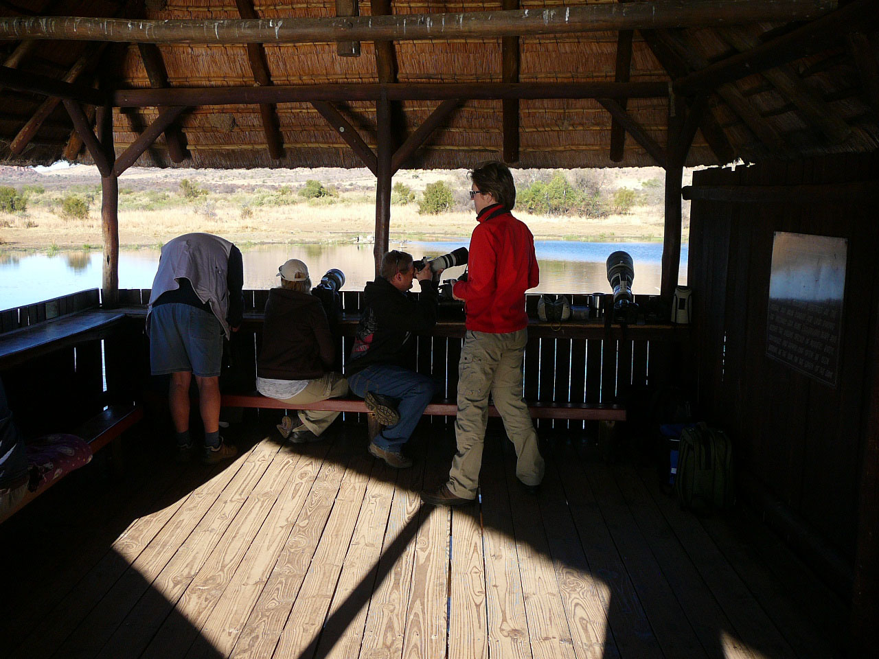 Photographers in the hide