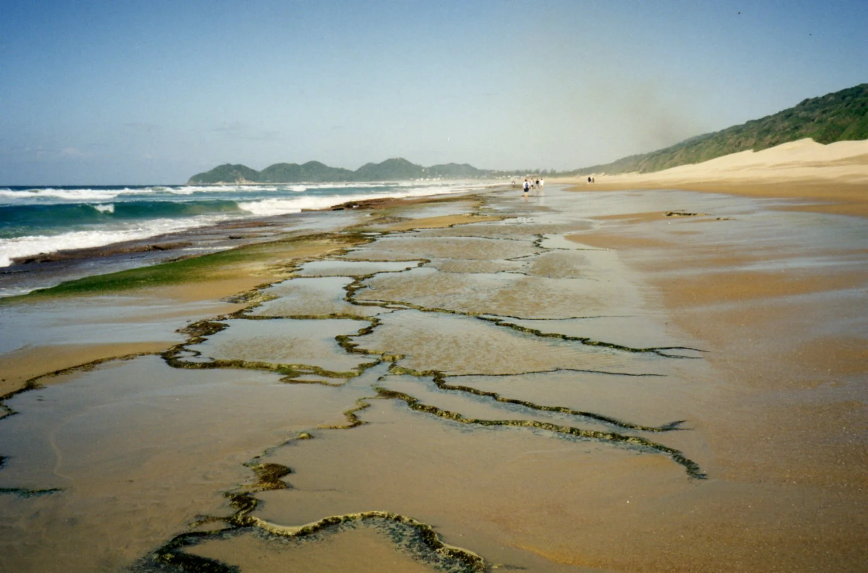 Rocks sticking through the sand