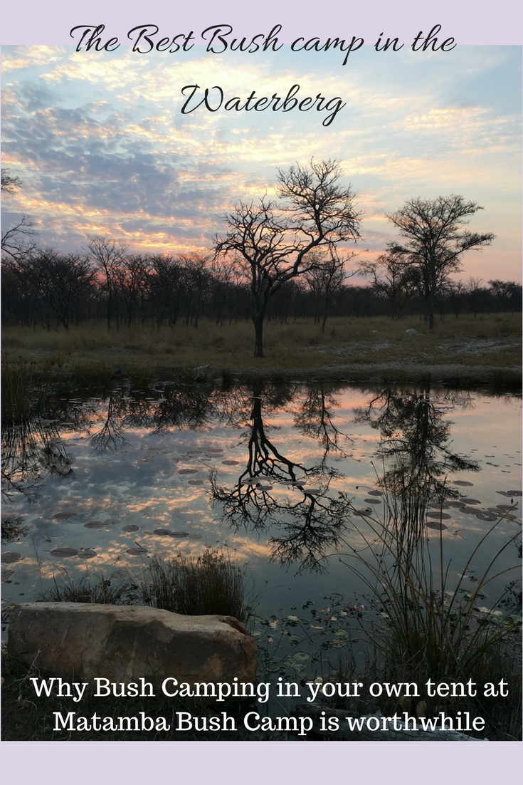 The Best Bush camp in the Waterberg.jpg