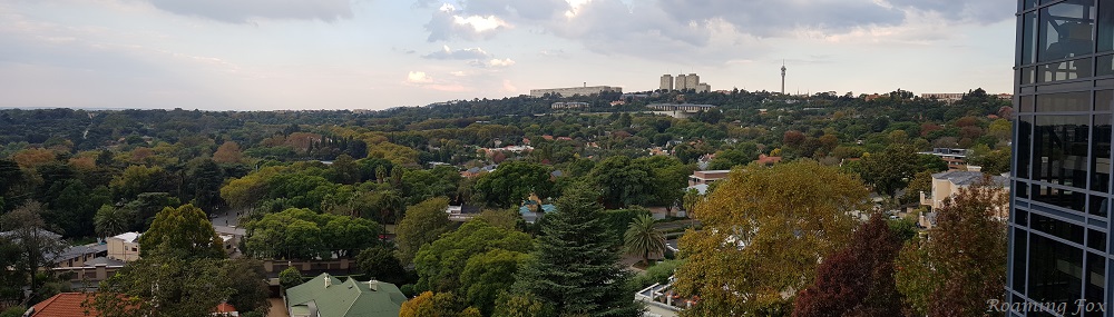 Towards Parktown ridge