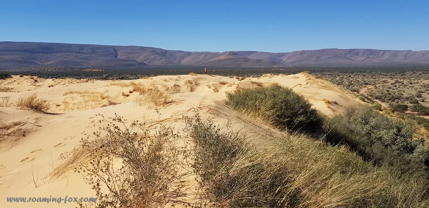 Roaring sands of Witsand